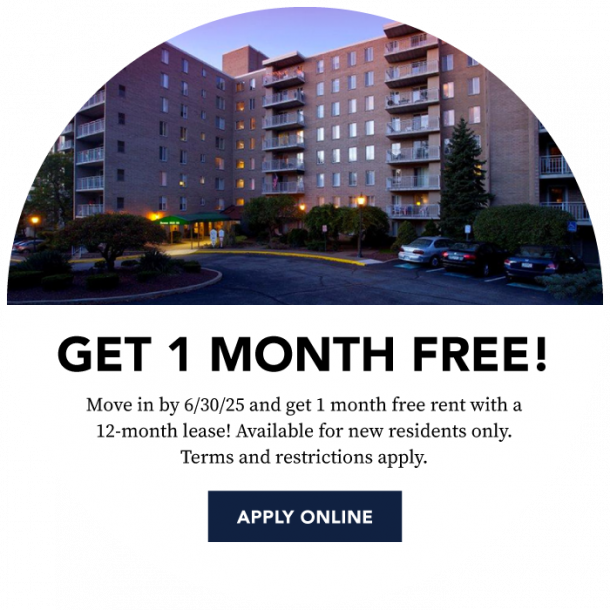 Bower Hill Promotion